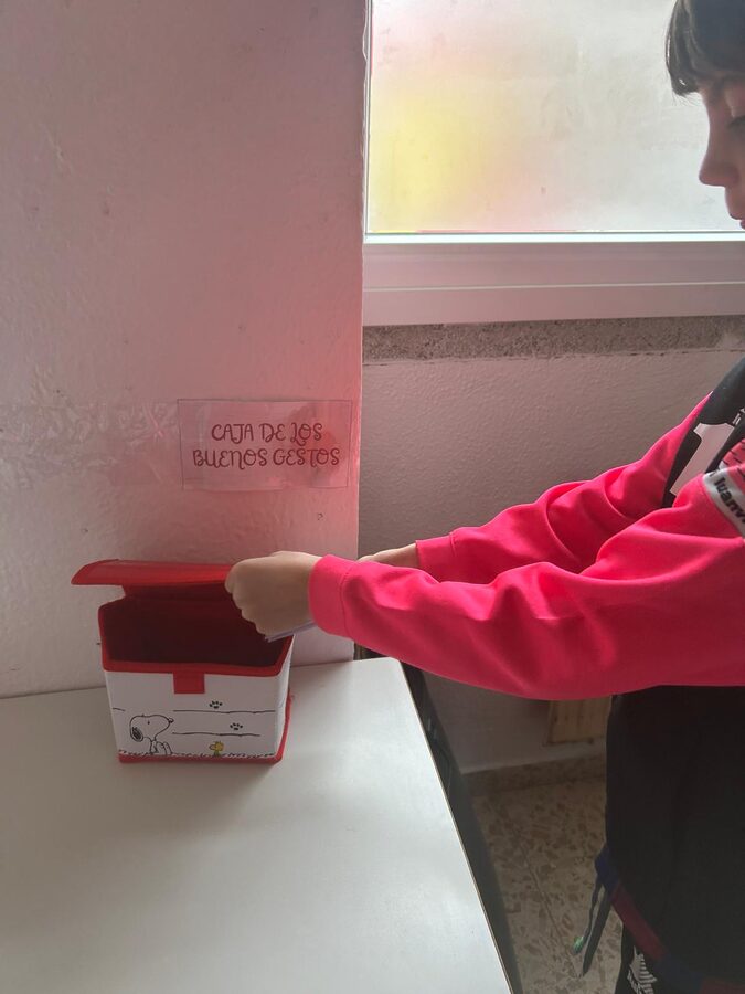 WhatsApp Image 2026-02-15 at 20.00.55